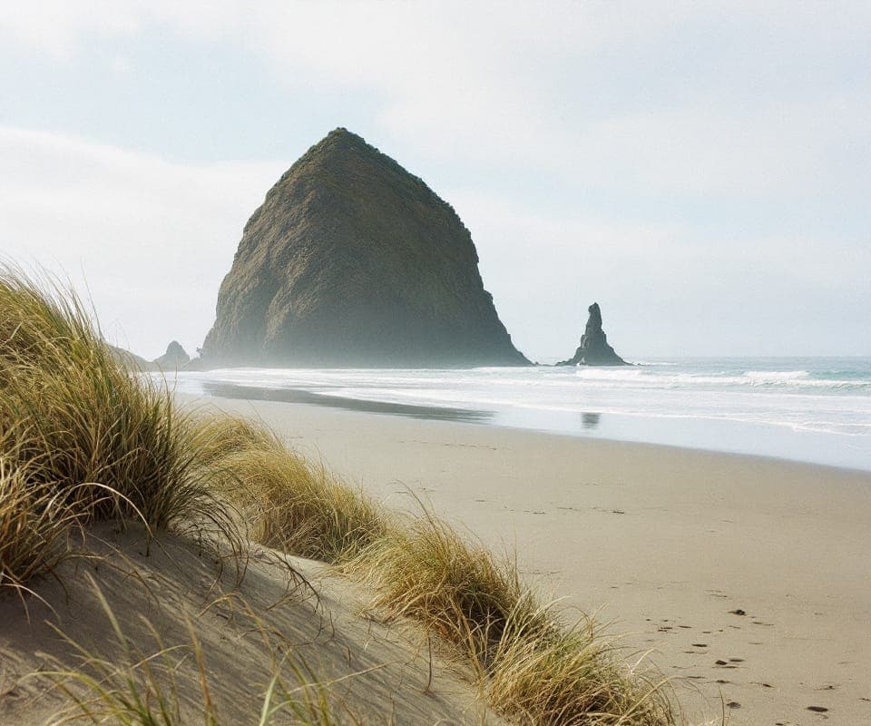 A sandy beach with dune grass and a rocky sea stack offshore